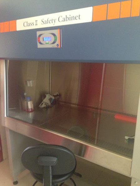 Laminar Flow Hood